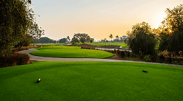 Golf View